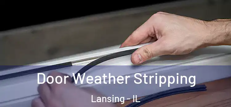 Door Weather Stripping Lansing - IL
