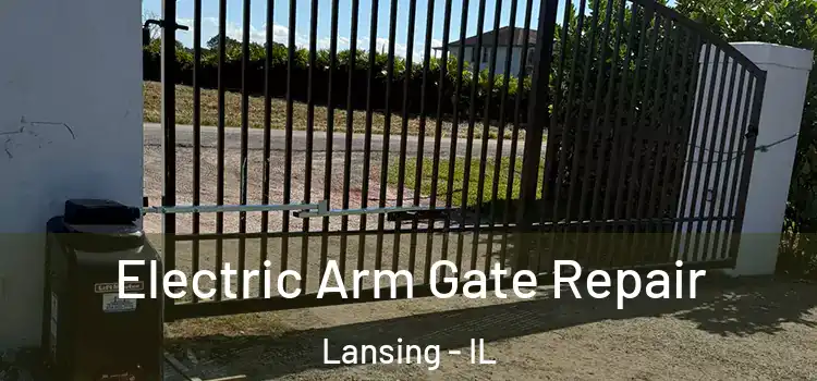 Electric Arm Gate Repair Lansing - IL