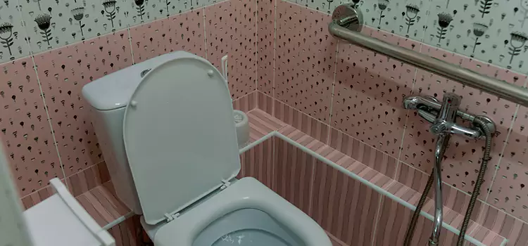 Meeting Diverse Needs With Accessible Restroom Solutions in Lansing, IL