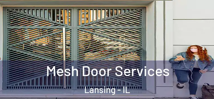 Mesh Door Services Lansing - IL