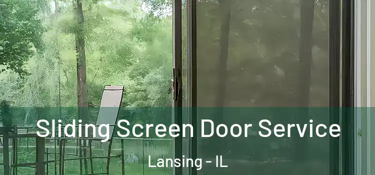 Sliding Screen Door Service Lansing - IL